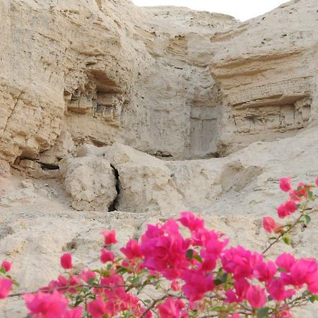 Dead Sea Dawn Villa Neot HaKikar ภายนอก รูปภาพ