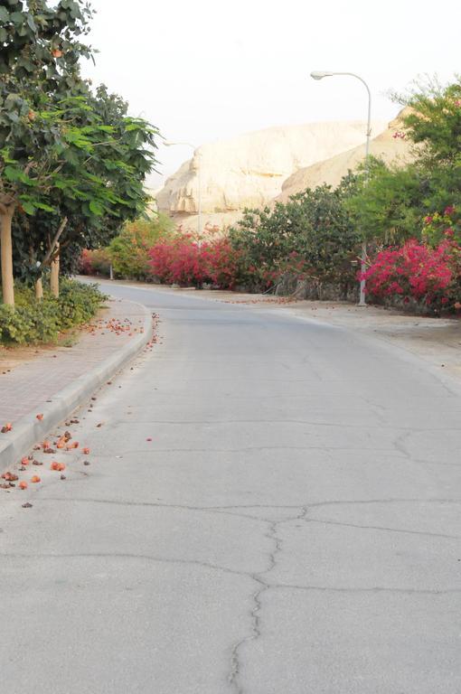 Dead Sea Dawn Villa Neot HaKikar ภายนอก รูปภาพ